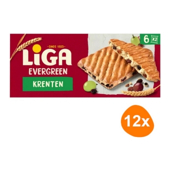 Liga - Evergreen Johannisbeeren - 12x 225g