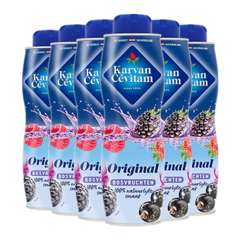 Karvan Cévitam - Waldfrucht - 6x 600ml
