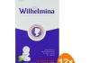 Fortuin - Wilhelmina Pfefferminze Vegan - 12x 100g
