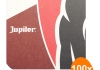 Jupiler - Bierdeckel - 100 Stück