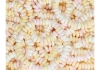 Au'some - Candy Necklaces (Halsketten) - 100er