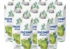 Bamboo Tree - Kokoswasser - 12x 1 ltr