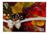 Haribo - Fruchtgummi-Adventskalender - 515 g