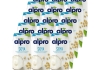 Alpro - Sojadrink Original - 5x (3x 250ml)