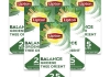 Lipton - Feel Good Selection Grüner Tee Orient - 6x 25 Teebeutel