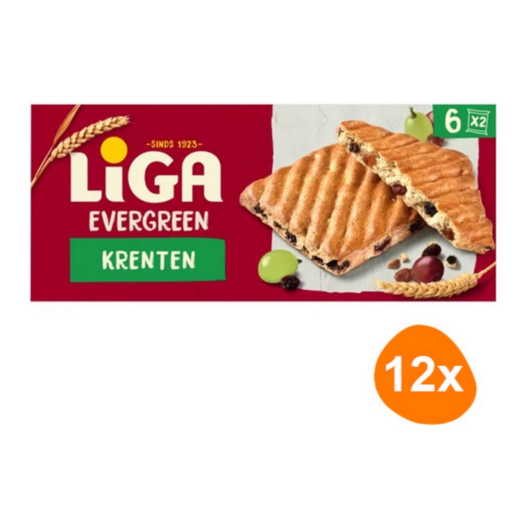 Liga - Evergreen Johannisbeeren - 12x 225g
