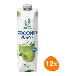 Bamboo Tree - Kokoswasser - 12x 1 ltr