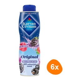 Karvan Cévitam - Waldfrucht - 6x 600ml