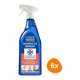 Blue Wonder - Disinfektionsreiniger - 6x 750ml