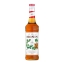 Monin - irish Syrup 700ml