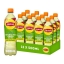 Lipton - Ice Tea Green Sp Citrus PET - 12x 0,5ltr
