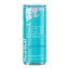 Red Bull - The Ice Edition Sugarfree Dose - 12x 250ml