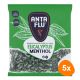 Anta Flu - Hustenbonbons Eukalyptus Menthol - 5x 1kg