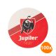 Jupiler - Bierdeckel - 100 Stück
